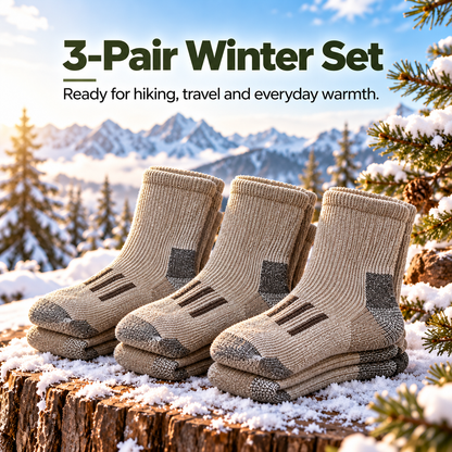 3-PAIR Merino Wool Thermal Socks – Thick Cushioned Winter Warmth