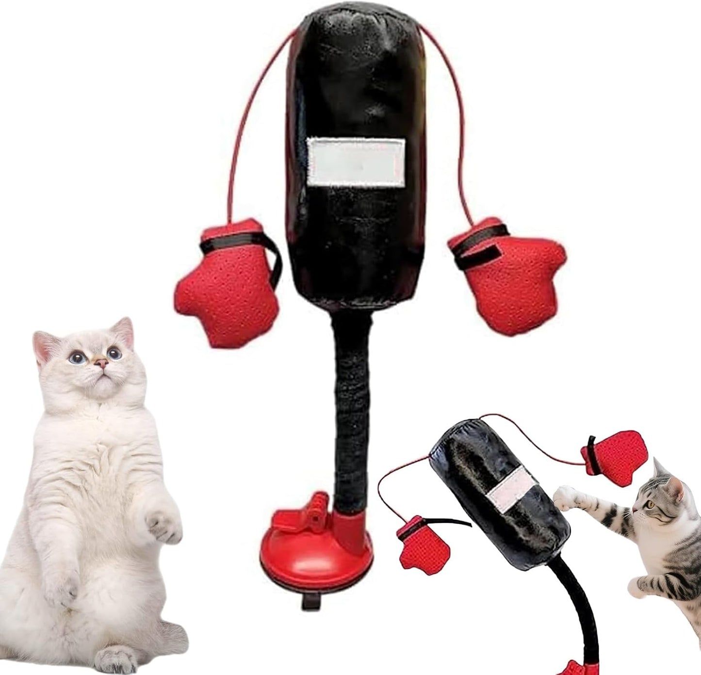 🐱 Meow-Tyson is Ready! | Funny Interactive Cat Boxing Punching Bag Toy 🥊