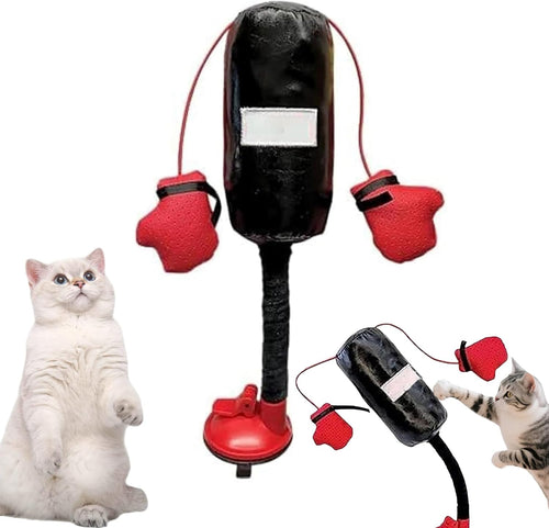 🐱 Meow-Tyson is Ready! | Funny Interactive Cat Boxing Punching Bag Toy 🥊