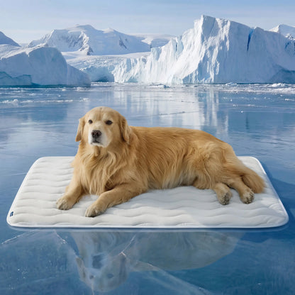 ❄️ Say Goodbye to Toxic Gels: The Q-Max 0.5 Instant Physical Cooling Pad Your Dog Will Obsess Over! 🐕✨