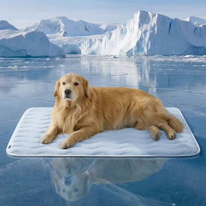 ❄️ Say Goodbye to Toxic Gels: The Q-Max 0.5 Instant Physical Cooling Pad Your Dog Will Obsess Over! 🐕✨