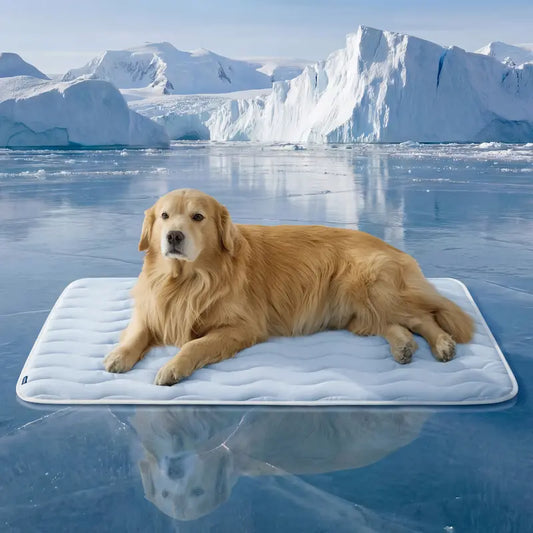 ❄️ Say Goodbye to Toxic Gels: The Q-Max 0.5 Instant Physical Cooling Pad Your Dog Will Obsess Over! 🐕✨