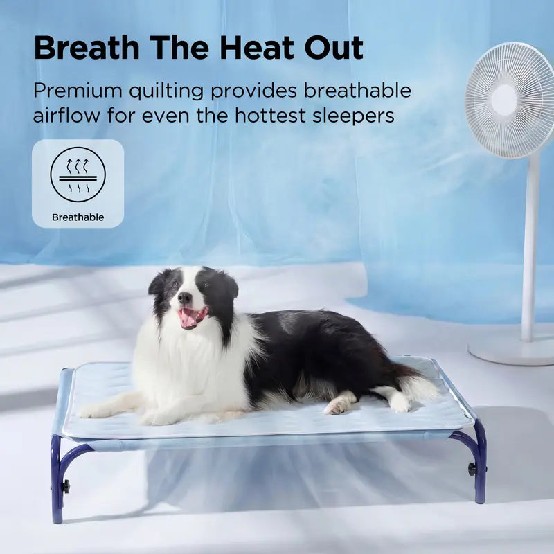 ❄️ Say Goodbye to Toxic Gels: The Q-Max 0.5 Instant Physical Cooling Pad Your Dog Will Obsess Over! 🐕✨