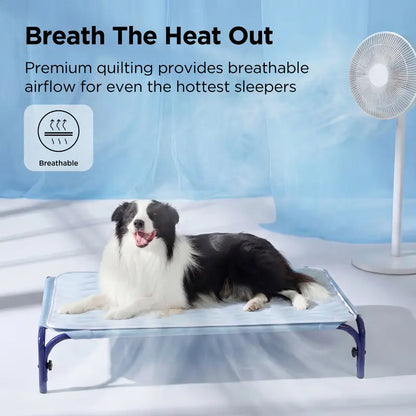 ❄️ Say Goodbye to Toxic Gels: The Q-Max 0.5 Instant Physical Cooling Pad Your Dog Will Obsess Over! 🐕✨