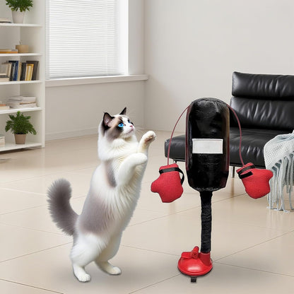🐱 Meow-Tyson is Ready! | Funny Interactive Cat Boxing Punching Bag Toy 🥊