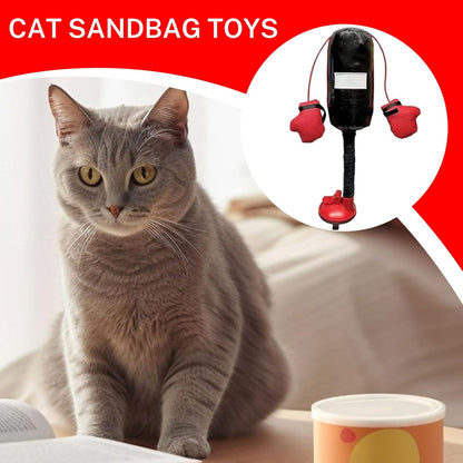 🐱 Meow-Tyson is Ready! | Funny Interactive Cat Boxing Punching Bag Toy 🥊