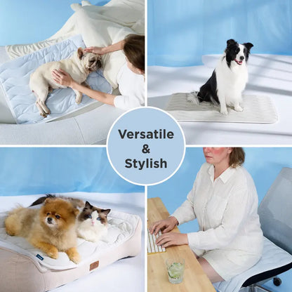 ❄️ Say Goodbye to Toxic Gels: The Q-Max 0.5 Instant Physical Cooling Pad Your Dog Will Obsess Over! 🐕✨